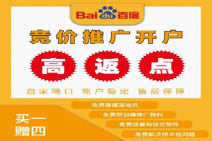 百度推广返点策略：成功案例分享